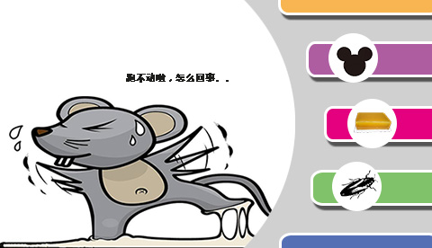 鼠蟑餌膠